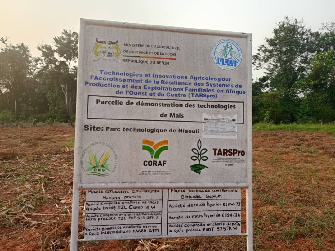 À Niaouli, l’agriculture prend un nouveau virage
