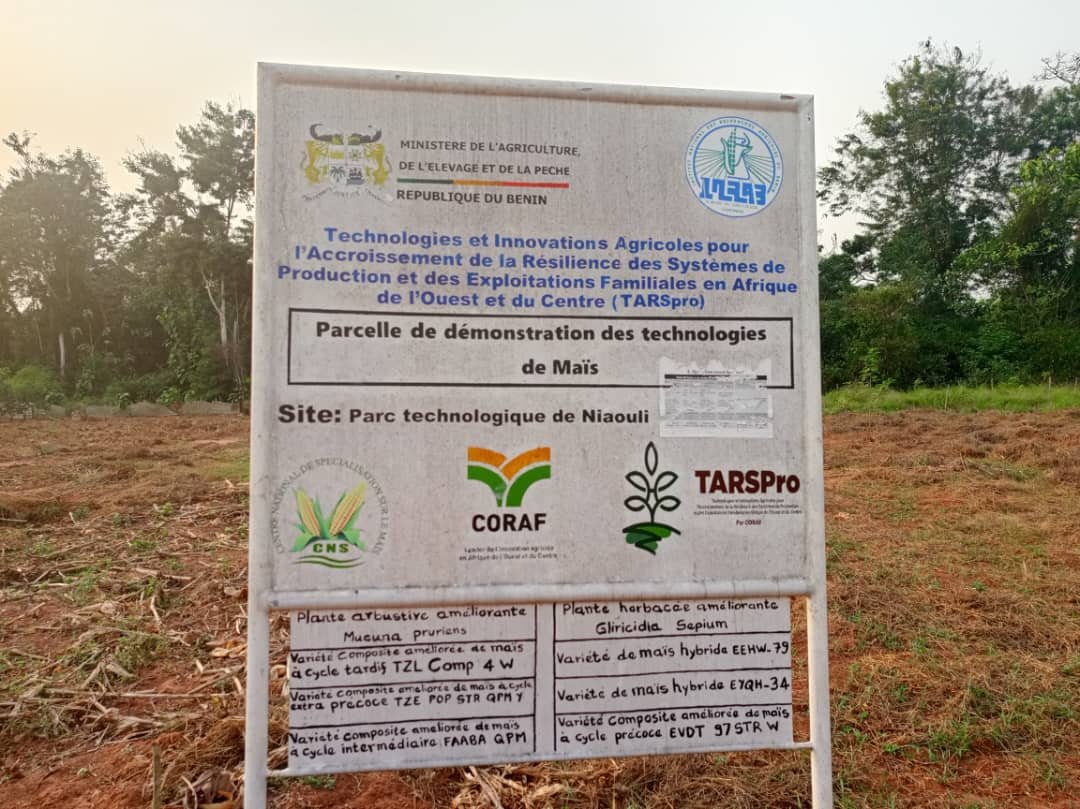 Image supplémentaire pour À Niaouli, l’agriculture prend un nouveau virage