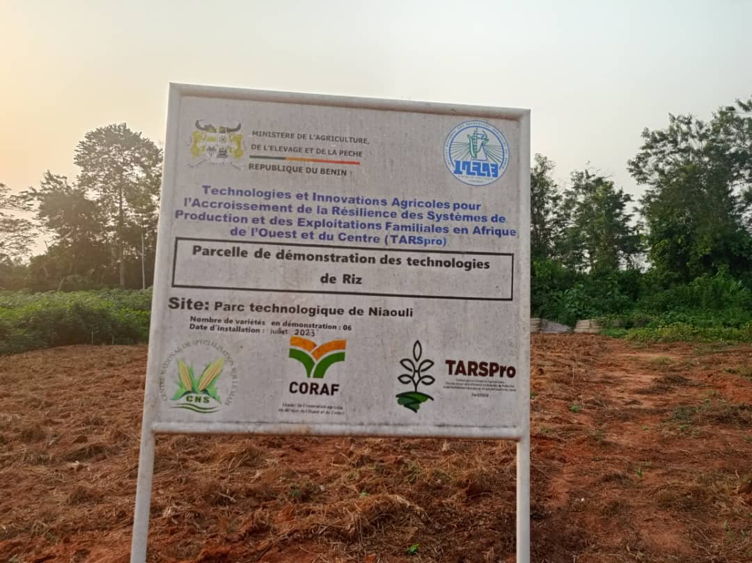 Image supplémentaire pour À Niaouli, l’agriculture prend un nouveau virage