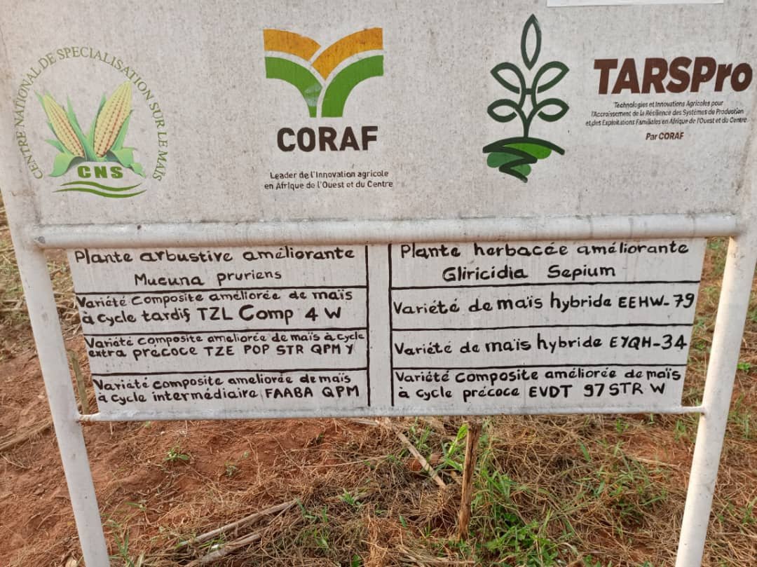 Image supplémentaire pour À Niaouli, l’agriculture prend un nouveau virage