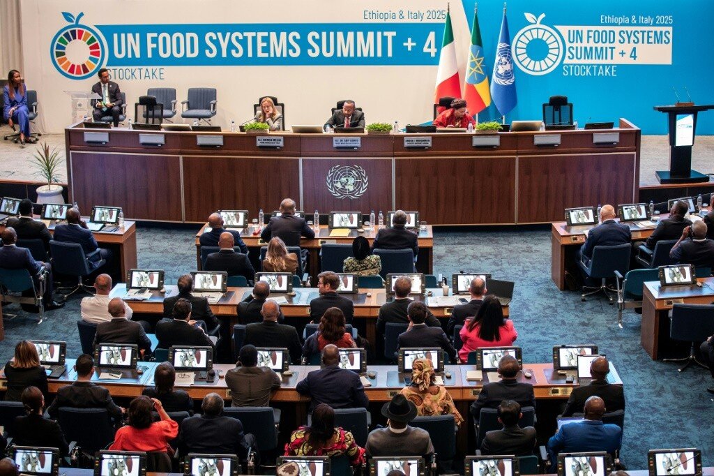 282 millions d’affamés : l’Afrique crie famine à Rome