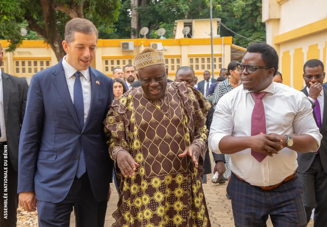 Image supplémentaire pour Bénin–Serbie : cap sur une nouvelle ère
