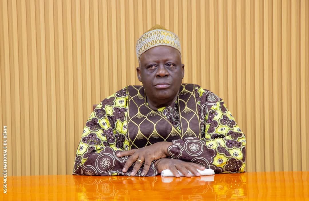 Image supplémentaire pour Bénin–Serbie : cap sur une nouvelle ère