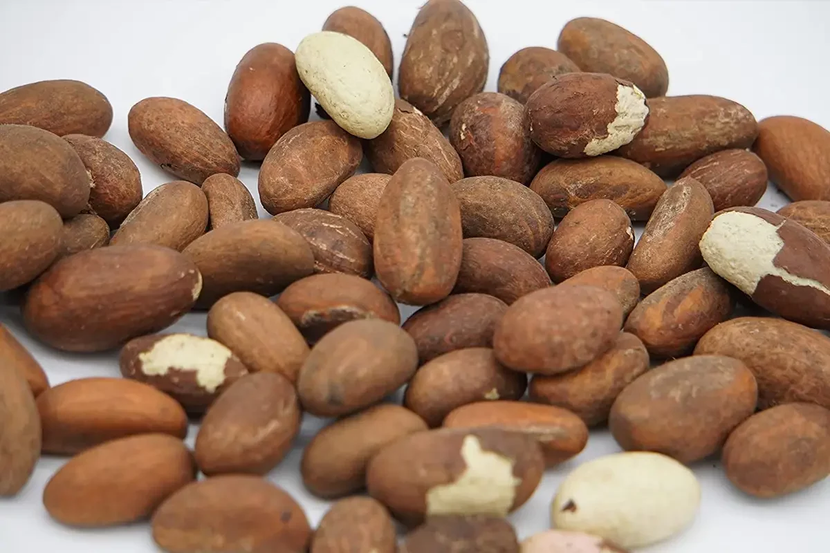 Petit cola, l’or des carrefours