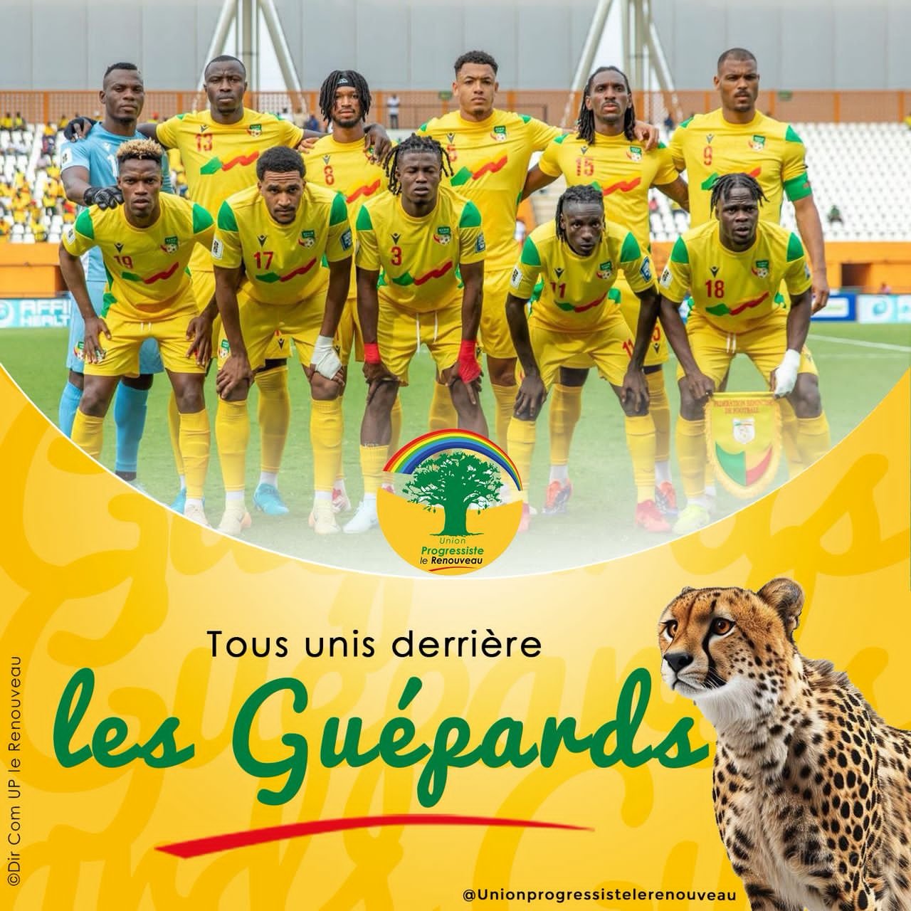 Guépards stoppés net !