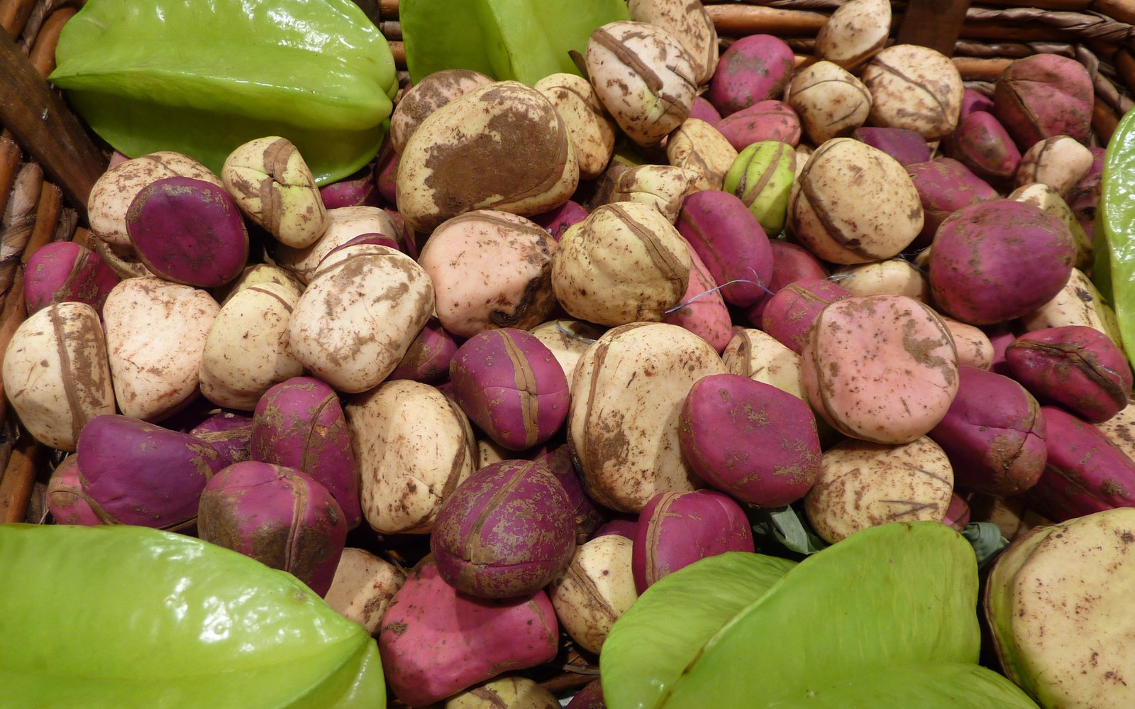 La noix de cola, plus qu’un fruit !