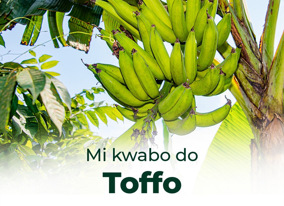 Toffo, la commune où l’art, la culture et la foi bâtissent le développement