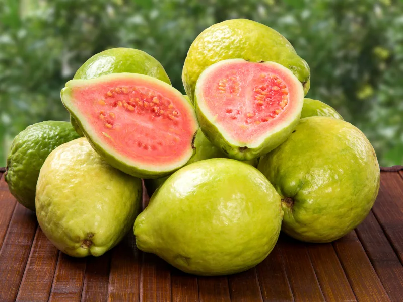 La goyave, l’or vert qui séduit le Bénin