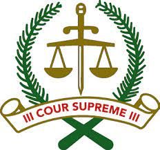 Un Guide pour mieux comprendre le contentieux électoral