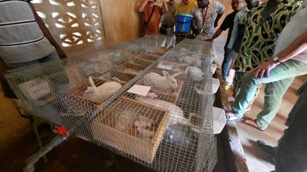 Image supplémentaire pour Borgia Santos N’Bouké au cœur de la solidarité