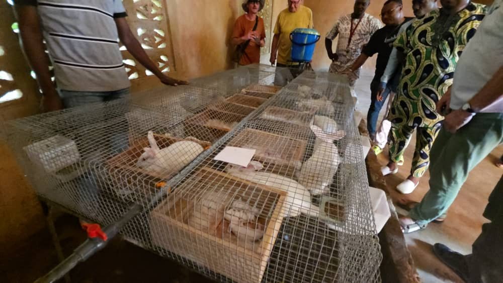 Image supplémentaire pour Borgia Santos N’Bouké au cœur de la solidarité