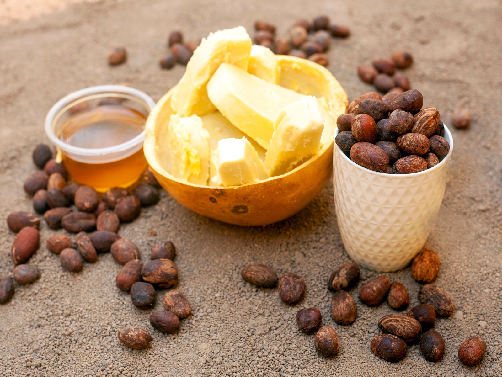 Le beurre de karité, trésor du Nord