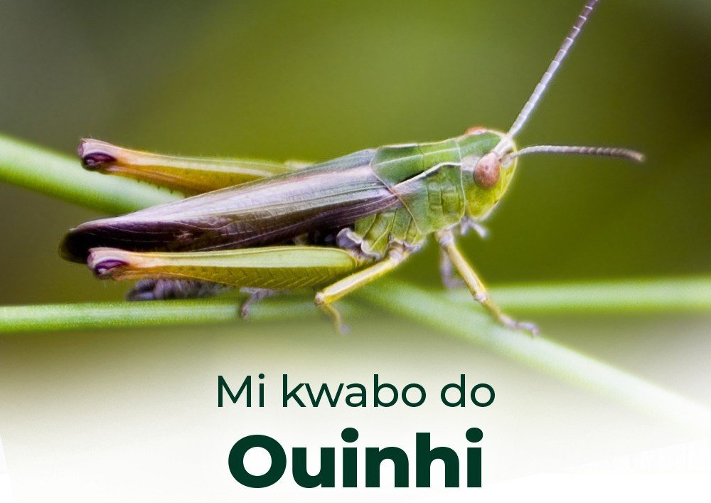 Ouinhi, entre tradition et vitalité économique