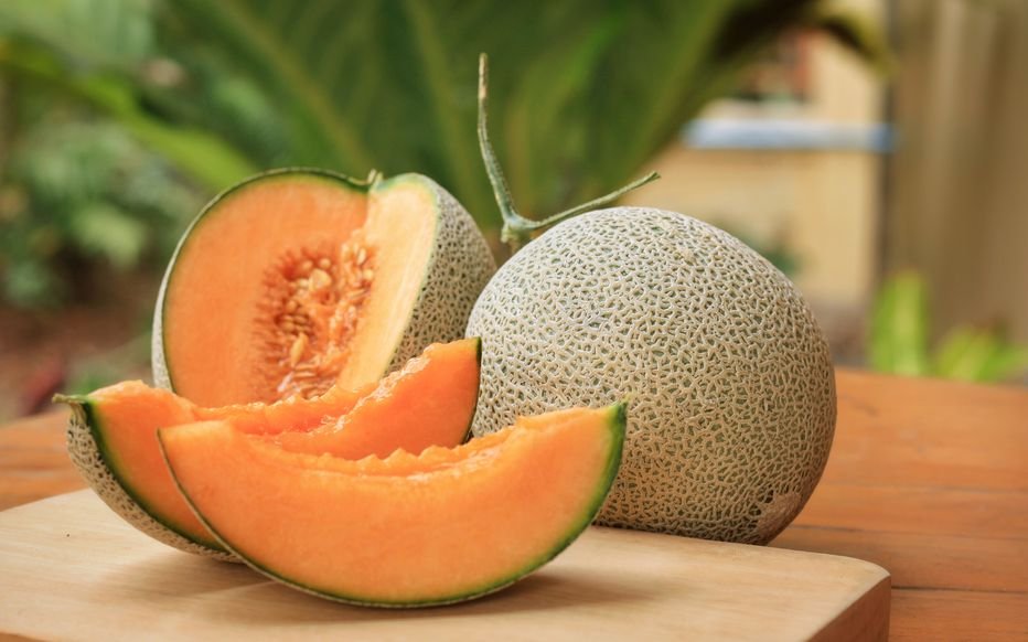 Le melon, une douceur rafraîchissante qui séduit les consommateurs