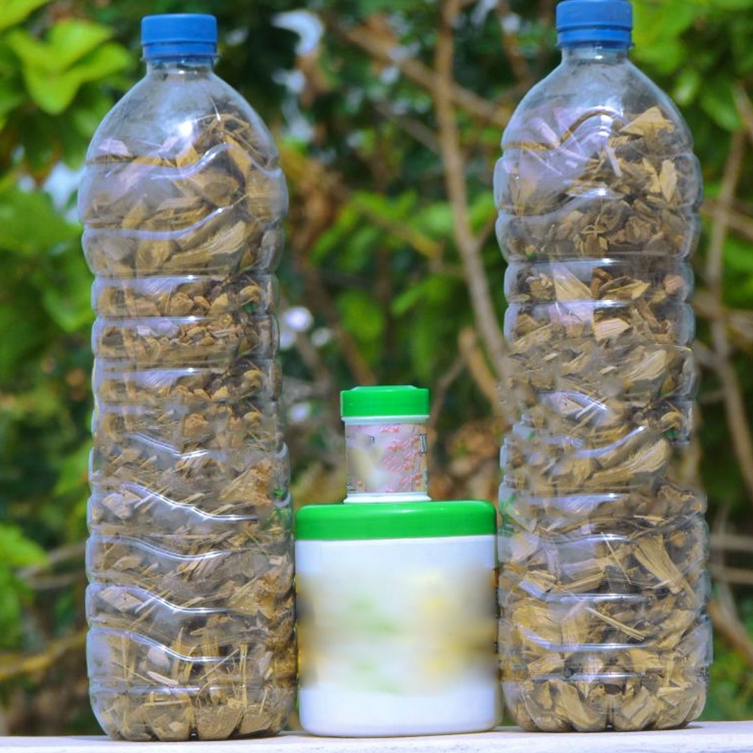 Racines en bidons : l’alerte sanitaire nationale