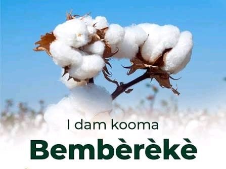 Entre mémoire historique, excellence scolaire et ambitions de développement