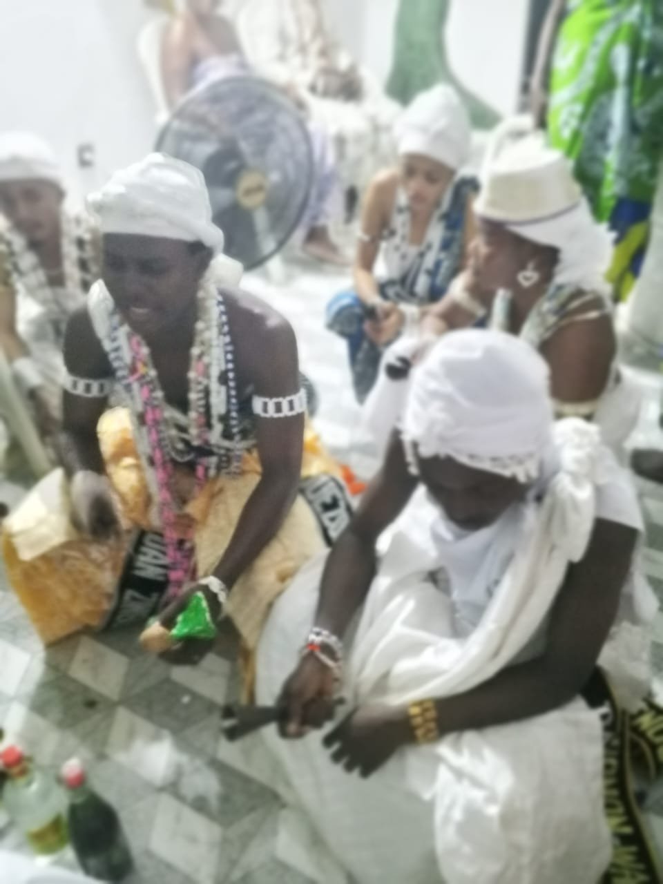 Image supplémentaire pour L’appel solennel de Sa Majesté Daho TOYIGBÉ ADINANDJÈ