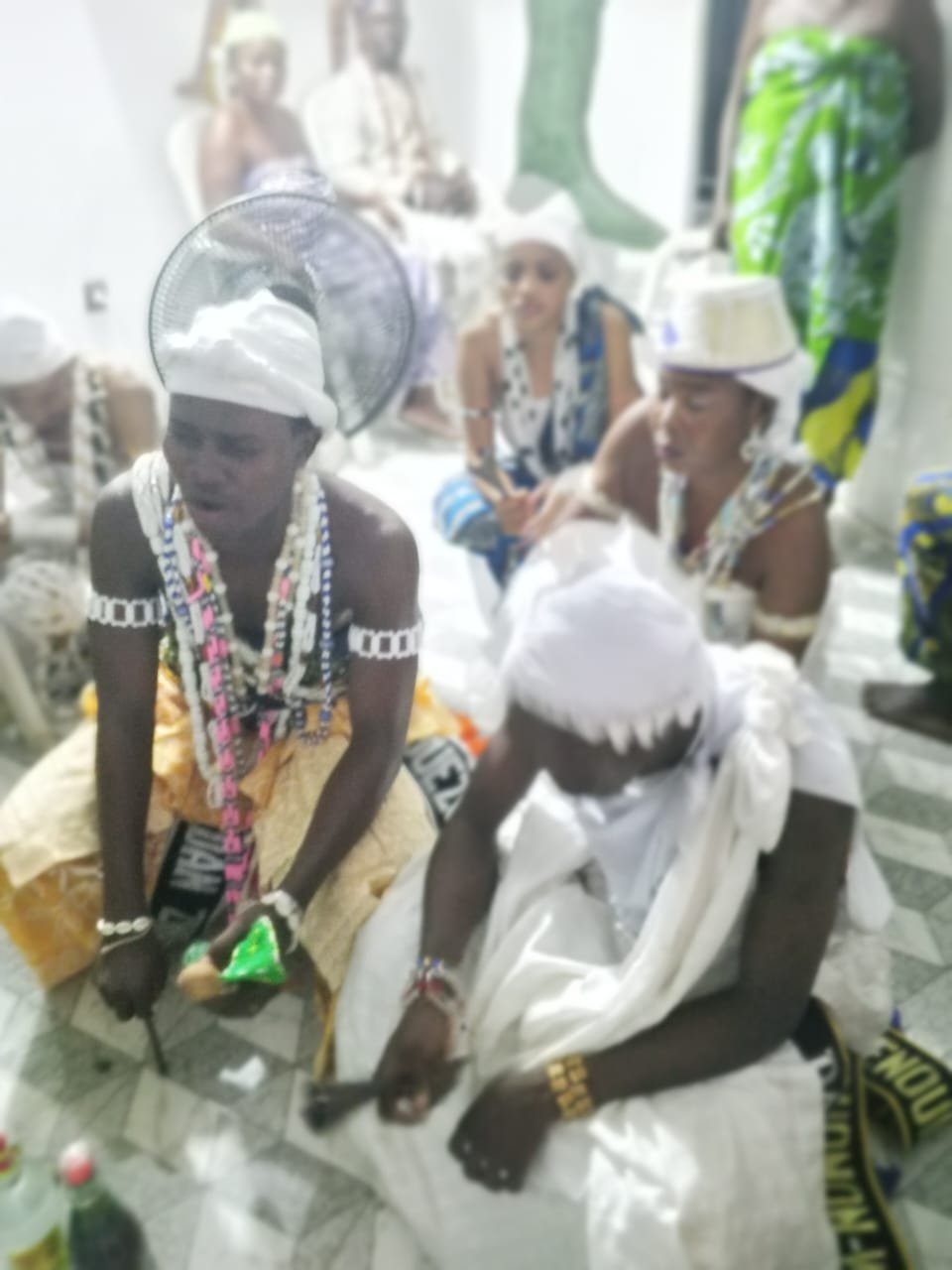 Image supplémentaire pour L’appel solennel de Sa Majesté Daho TOYIGBÉ ADINANDJÈ