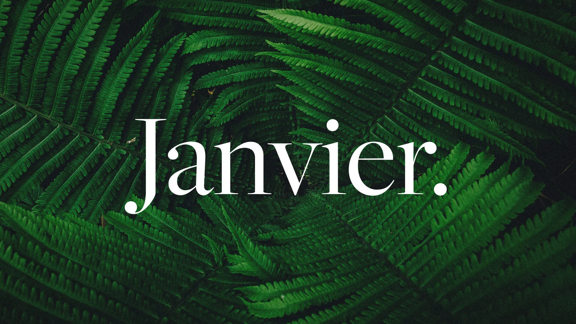 Janvier, le mois où les portefeuilles font grise mine