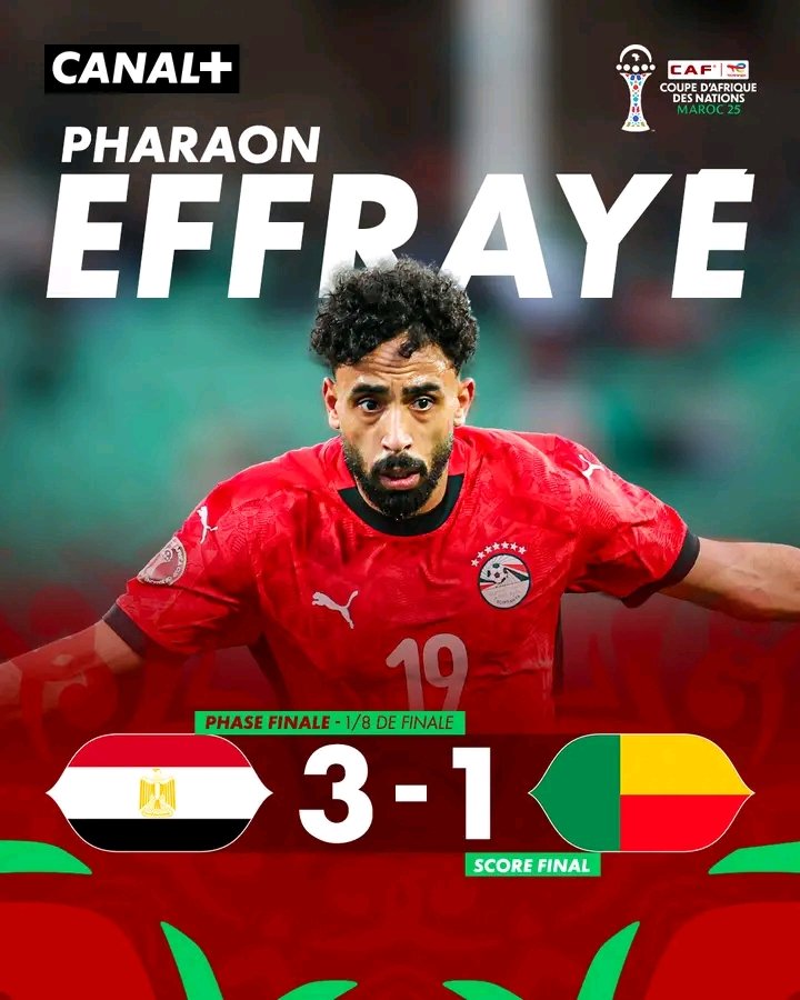 Les Guépards s’inclinent face aux Pharaons