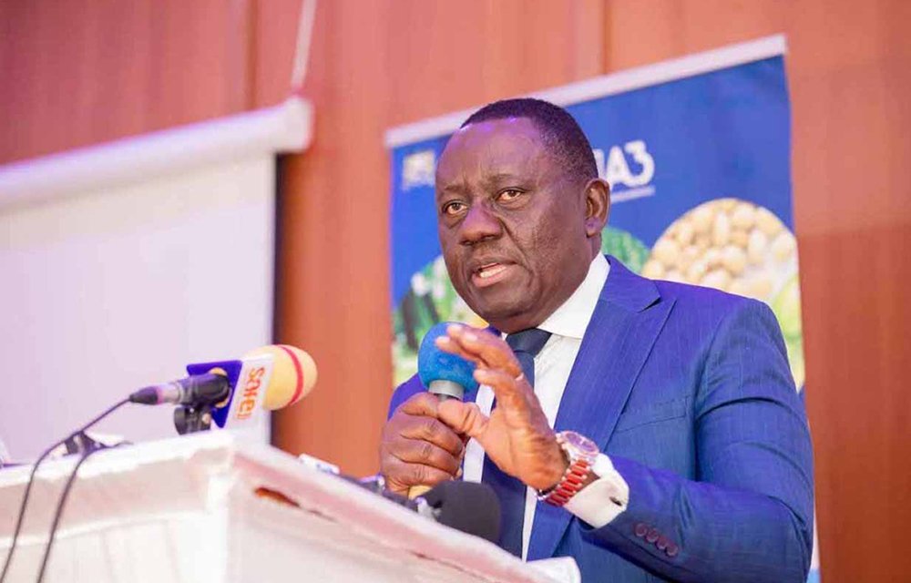 Racines et tubercules : un investissement massif pour booster la production vivrière