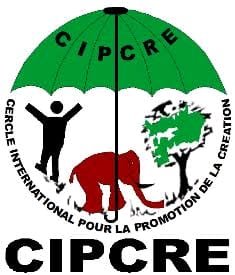 Le pari gagnant du Centre International pour la Promotion de la Création au Bénin