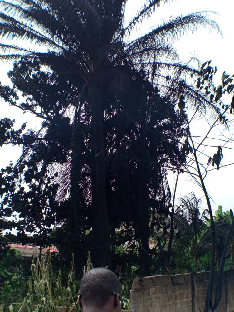 Image supplémentaire pour Un violent incendie ravage plusieurs sites à Porto-Novo