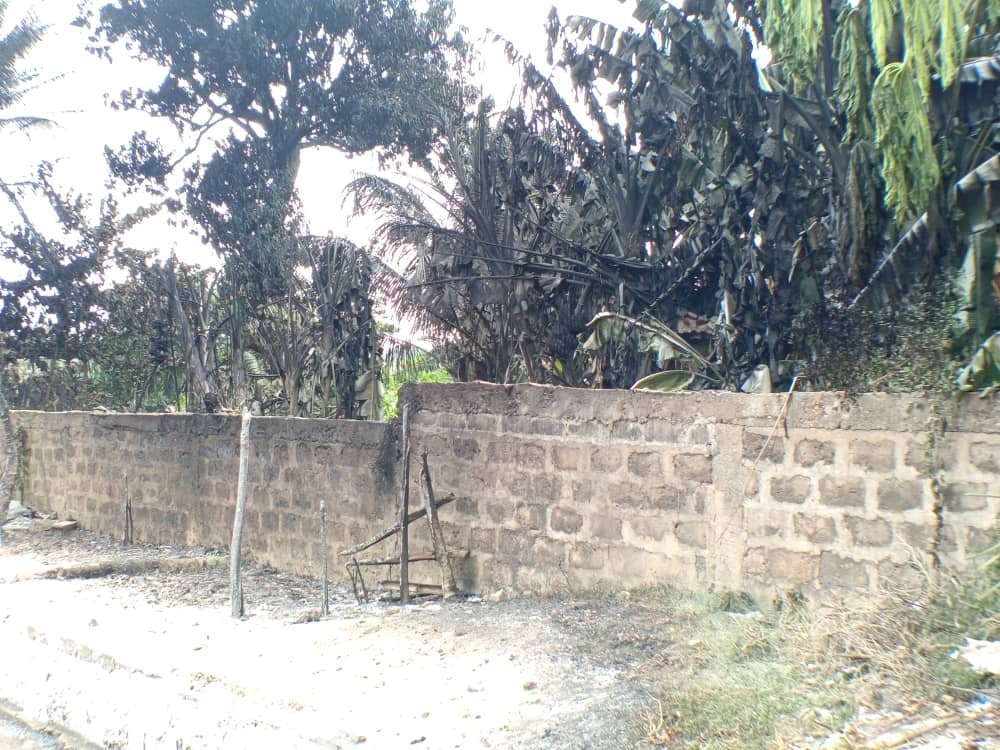 Image supplémentaire pour Un violent incendie ravage plusieurs sites à Porto-Novo